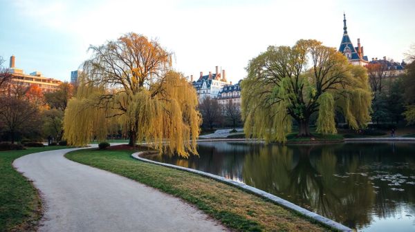 Guide des activités incontournables dans les parcs urbains de Paris
